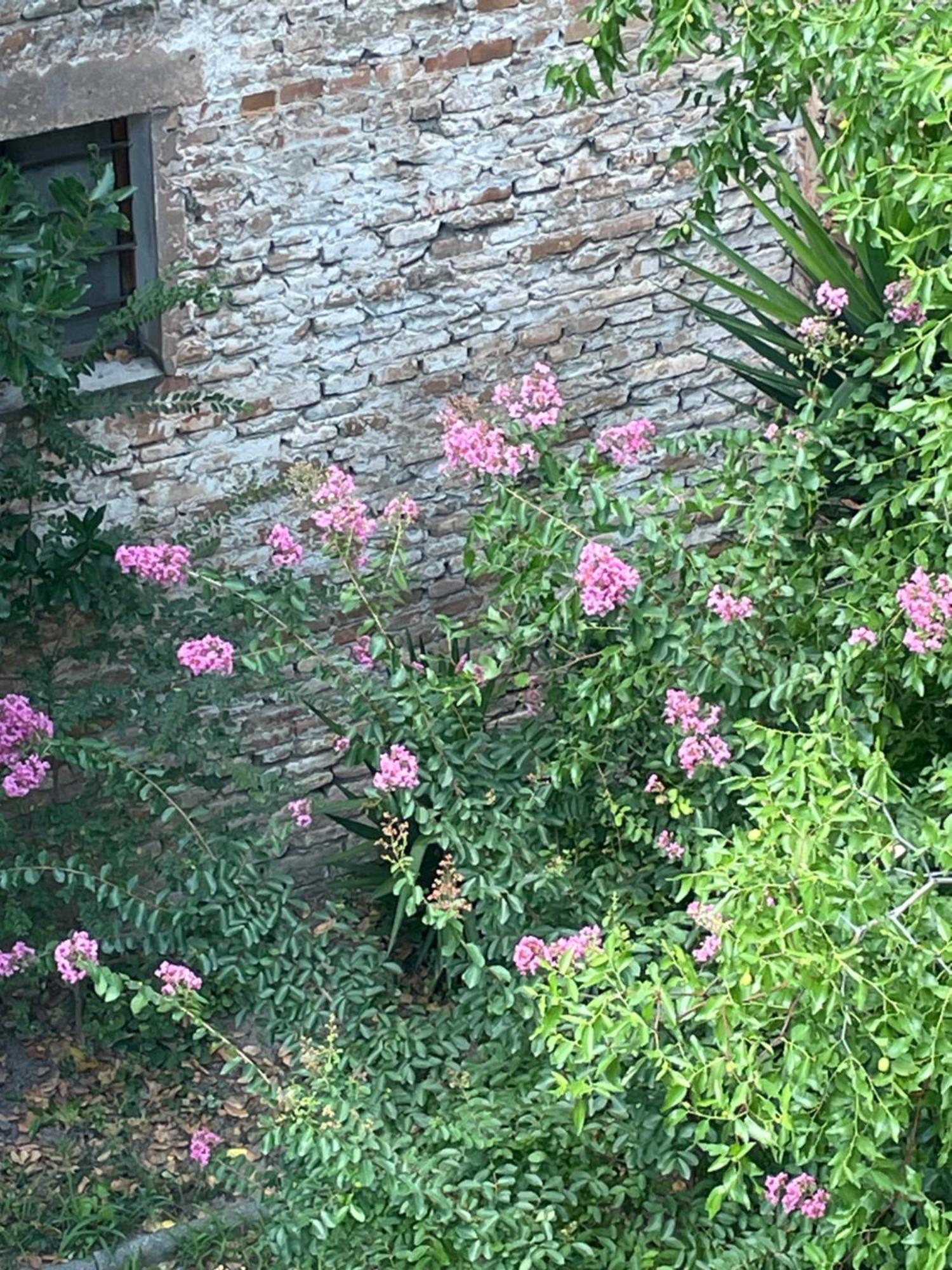 Romagna Apartments Massa Lombarda Bagian luar foto